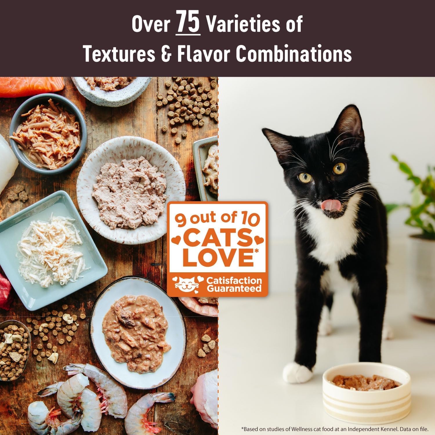 CORE Signature Selects Chunky Adult Wet Cat Food, Natural, Protein-Rich, Grain Free, 2.8 Ounce, 12 Pack (Chicken & Salmon)